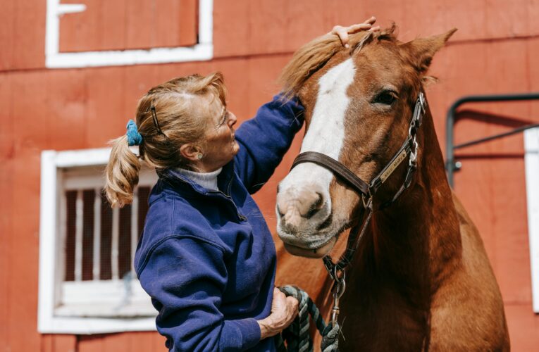 Rådgivning Hovar och Verka Hovar Själv: En Guide för Hästägare