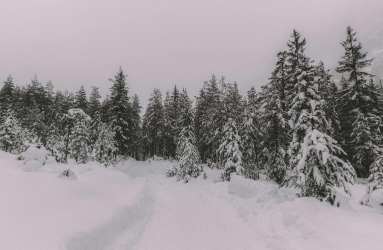 Expeditionen som känns på riktigt